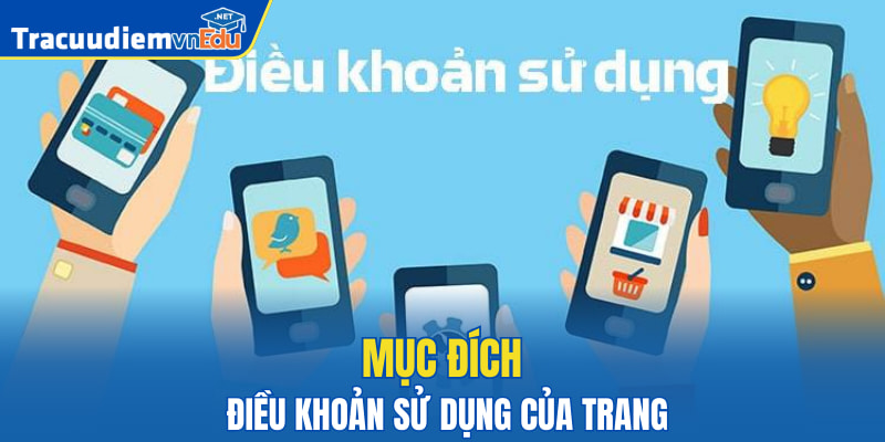 Mục đích điều khoản sử dụng của trang